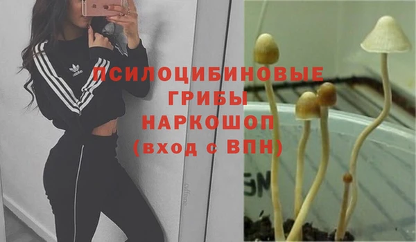 спиды Верхний Тагил