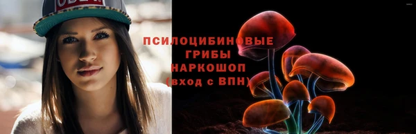 трава Верея