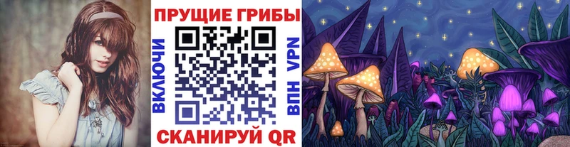 Купить закладки  Нарткала  Галлюциногенные грибы мицелий 
